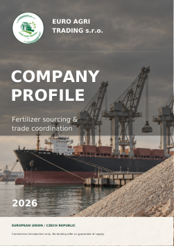 Company profile cover