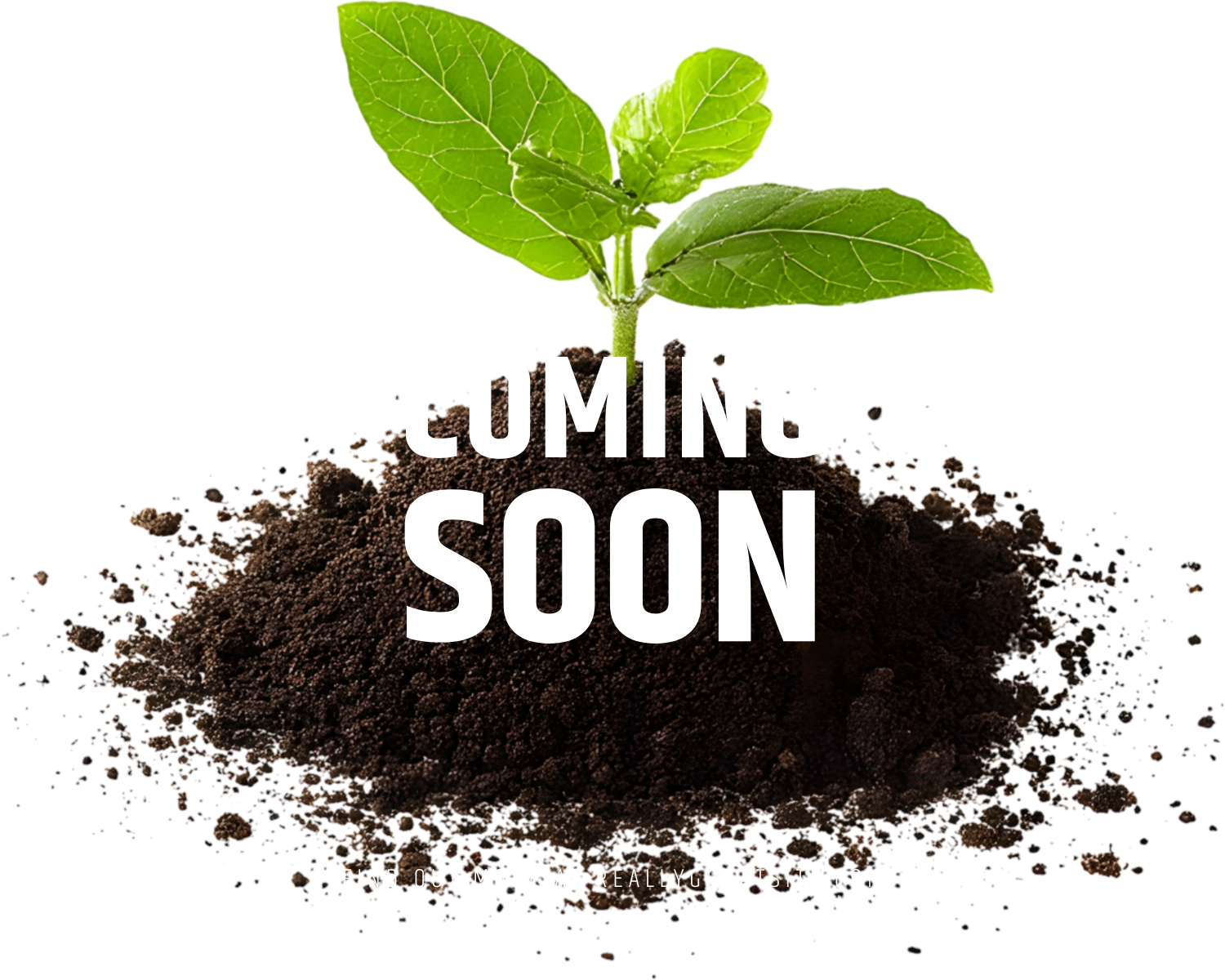 Low-Cadmium Rock Phosphate — specification coming soon